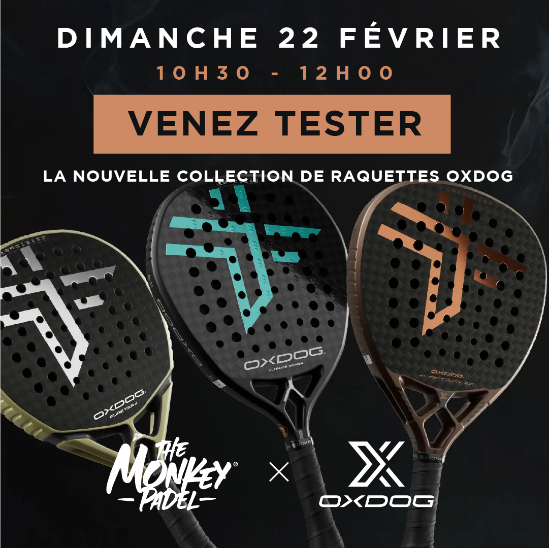 2026Plan de travail 1 copie